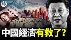 [ID: 8cxBUdrn1bs] Youtube Automatic