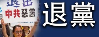 [ID: jbsy45BEEGU] Youtube Automatic