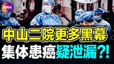 [ID: LVDulL-0M6Q] Youtube Automatic