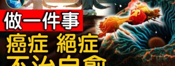 [ID: R_Ud1c5ROr8] Youtube Automatic