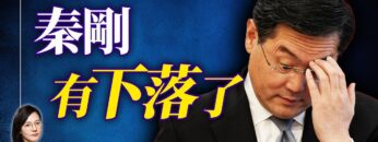 私密：[ID: 04qcJ0wOaUQ] Youtube Automatic