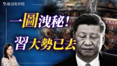 [ID: mUdAtNPT1po] Youtube Automatic