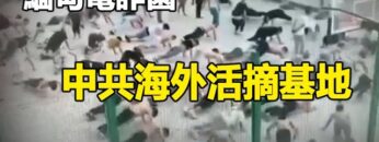 [ID: d7w63NUkaQM] Youtube Automatic