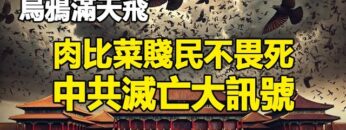 [ID: Y1pCq6P0_QI] Youtube Automatic