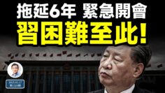 [ID: N0SKvcgT39o] Youtube Automatic