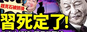 私密：[ID: 7gcy2Y7fHjk] Youtube Automatic