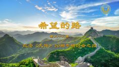 [ID: aht6D44hF8I] Youtube Automatic