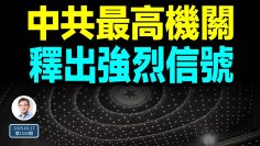 [ID: Xhw5jWI3M-Q] Youtube Automatic