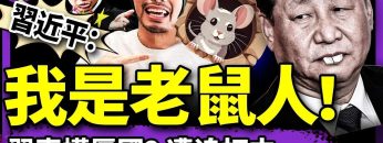 私密：[ID: Dt7OXpMiiIE] Youtube Automatic