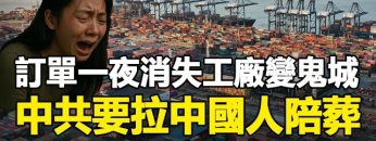 [ID: UwCODREKDdE] Youtube Automatic