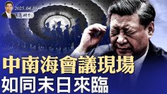 [ID: v_Aneq_AcL8] Youtube Automatic