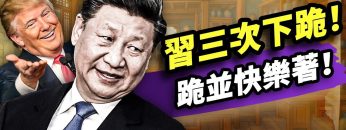 [ID: NunQ2dNP3g8] Youtube Automatic