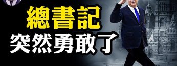 [ID: UPAKPNPmm-c] Youtube Automatic