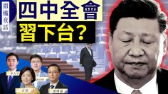 [ID: Z5xkh0NslgI] Youtube Automatic