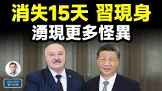 私密：[ID: 2Eccm_BXux4] Youtube Automatic