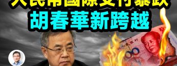 私密：[ID: 8zV4iP4ygrc] Youtube Automatic