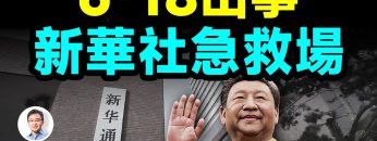 私密：[ID: ZvIIA5VezQU] Youtube Automatic