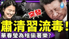 [ID: 5j82t1dtV-Y] Youtube Automatic