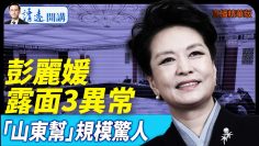 私密：[ID: BsJ478X4ekM] Youtube Automatic