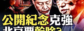 私密：[ID: DK7-CFKovG4] Youtube Automatic