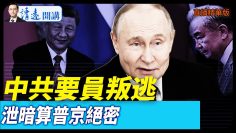 [ID: pw-JyGiYoBI] Youtube Automatic