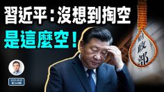 [ID: ZVQ-totbb-M] Youtube Automatic