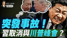 私密：[ID: qfArdw8mAM4] Youtube Automatic