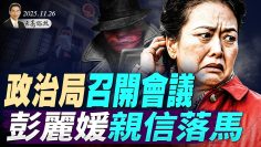 私密：[ID: 9LT62g2gnBU] Youtube Automatic