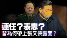 [ID: bXPTOBGtJj4] Youtube Automatic