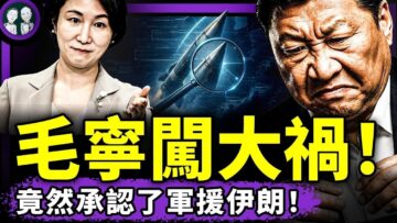 [ID: tXdmJCmRI9o] Youtube Automatic